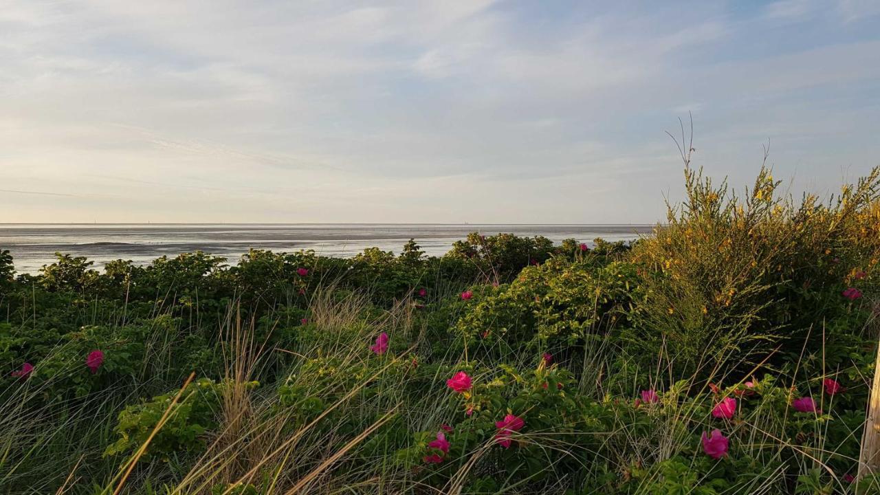 Residenz Jan Am Strand 쿡스하펜 외부 사진